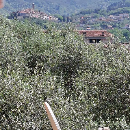 Appartement Grazioso Monolocale