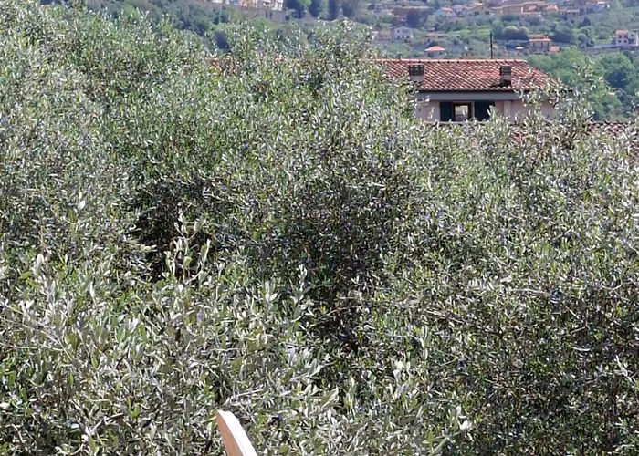 Apartman Grazioso Monolocale